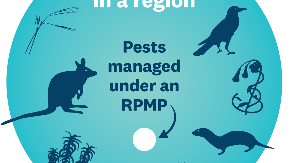 Pests Managed By Rpmp Graphic V2