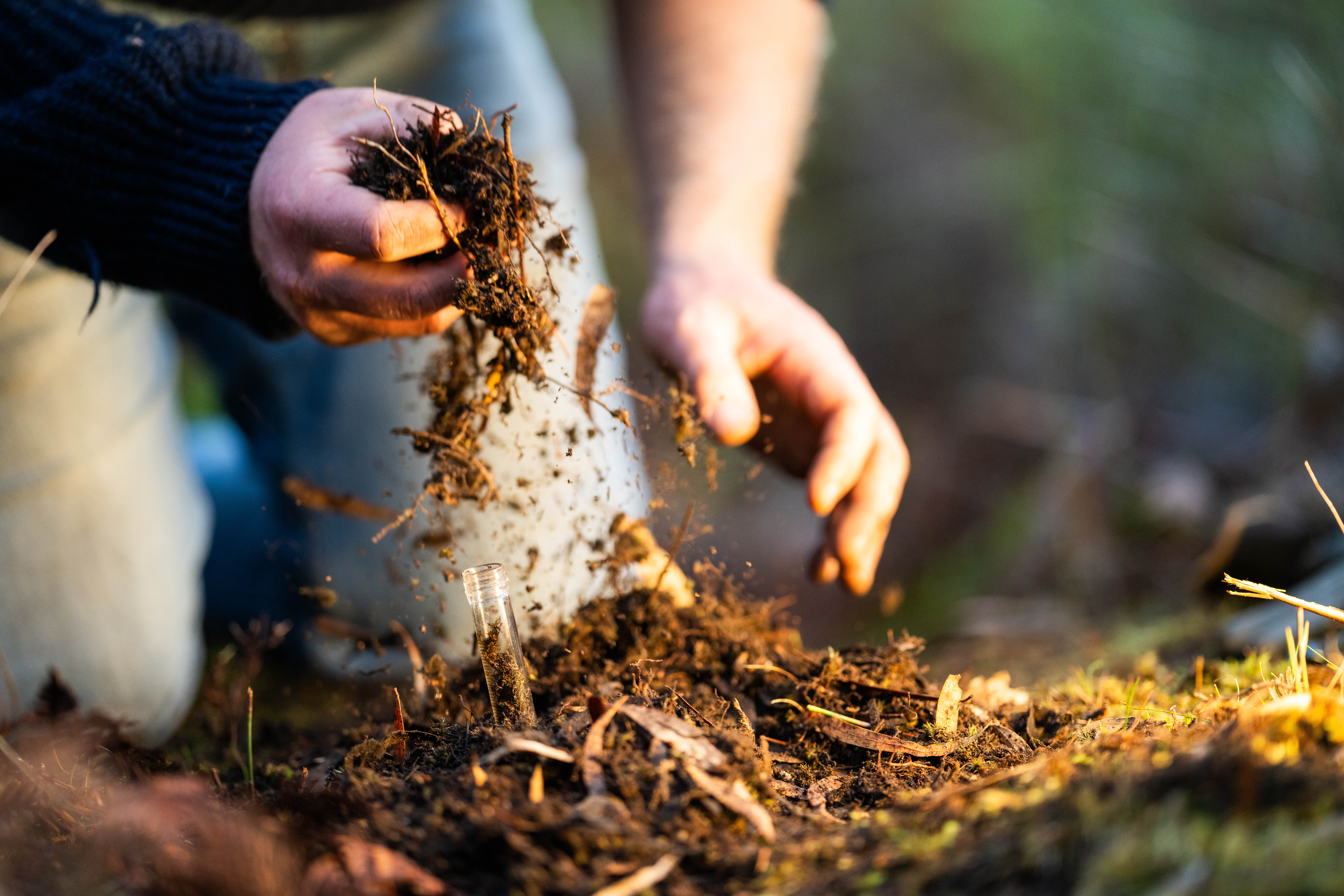 Taking Soil Samples And Looking At Plant Growth In A Farm Adobestock 842558857