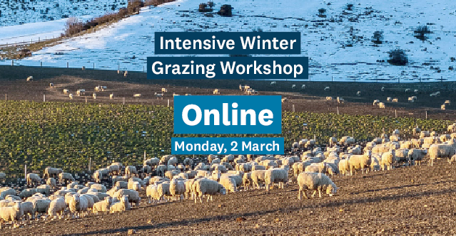 Online IWG Workshop 2026