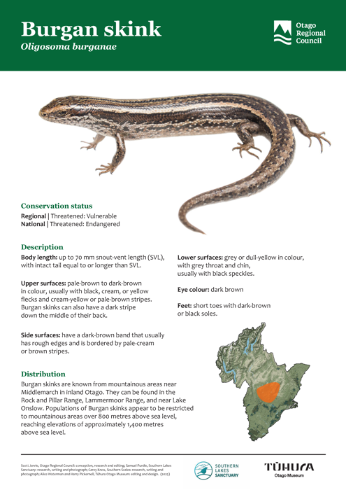 Otago’s skinks, gecko and tuatara