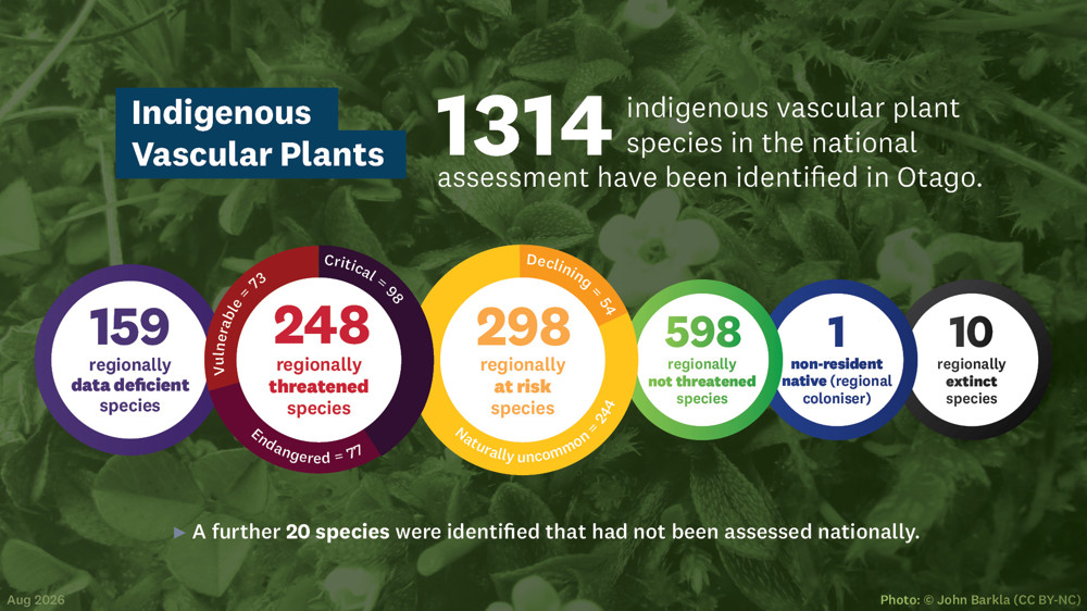Threat Assessment - Vascular Plants Stats Infographics 1920 X1080px Feb 2026