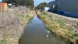 IS3  Downstream - Post Spray 2025