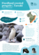 Fiordland Crested Penguin Tawaki Thumbnail