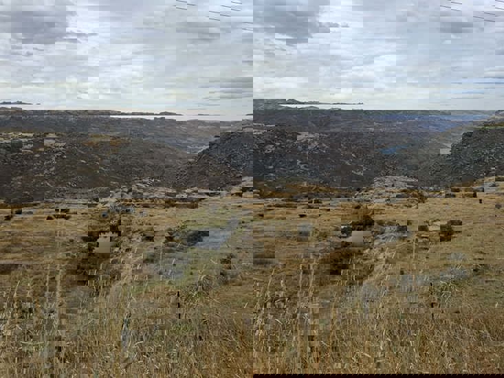 Upper Clutha Gorge Photo ORC Renee Pearson