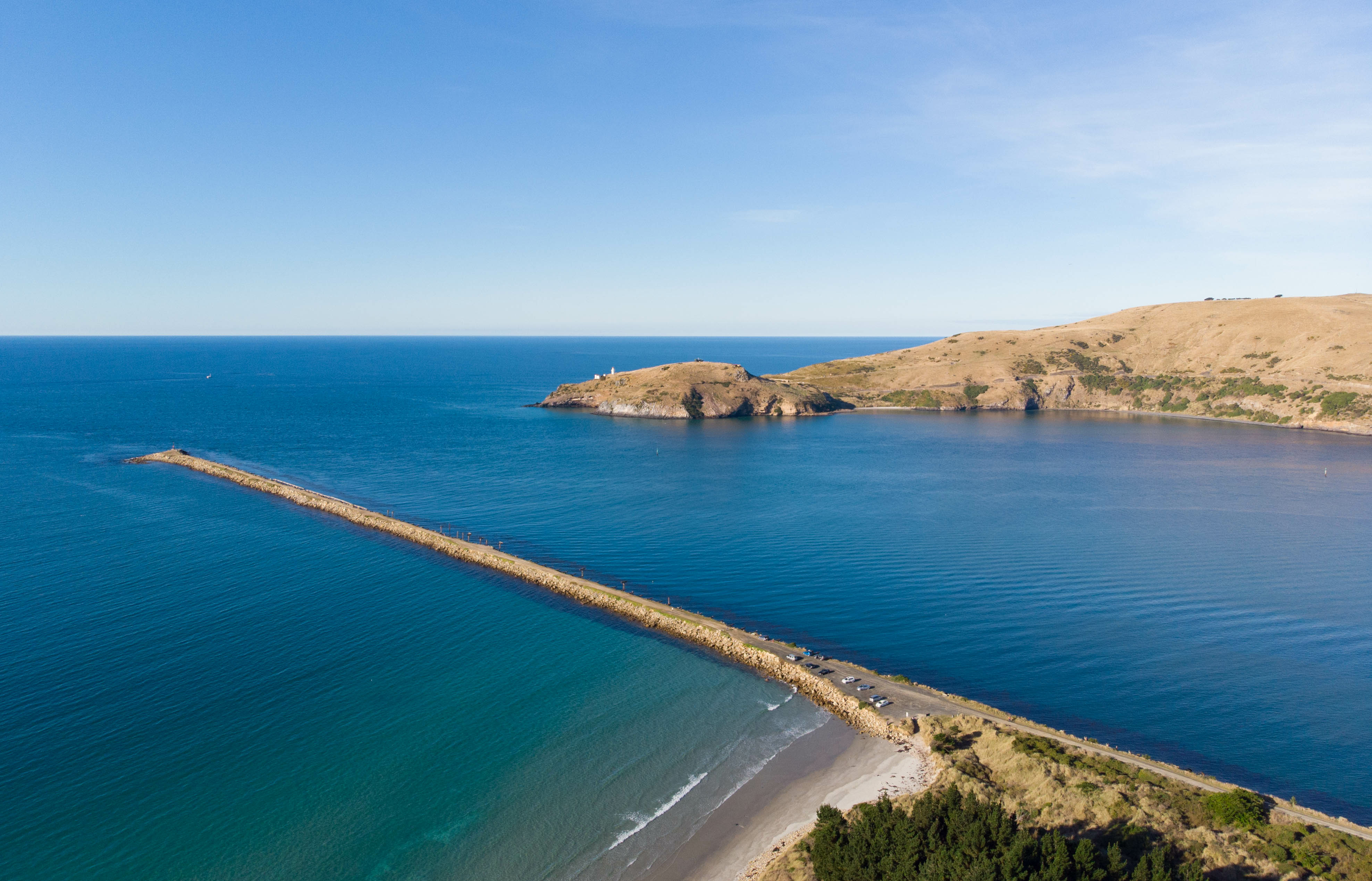 Aramoana Mole And Taiaroa Head Dunedin Adobestock 572276082