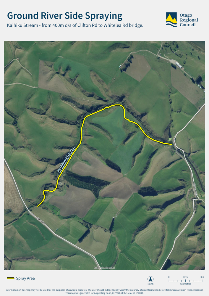 Ground river side spraying kaihiku stream from clifton road to whitelea road bridge