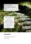 Cover The Catlins Catchment Action Plan CAP Full Document Nov 24