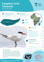 Caspian Tern Taranui Thumbnail