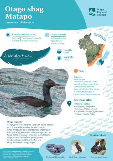 Otago Shag Matapo (1)