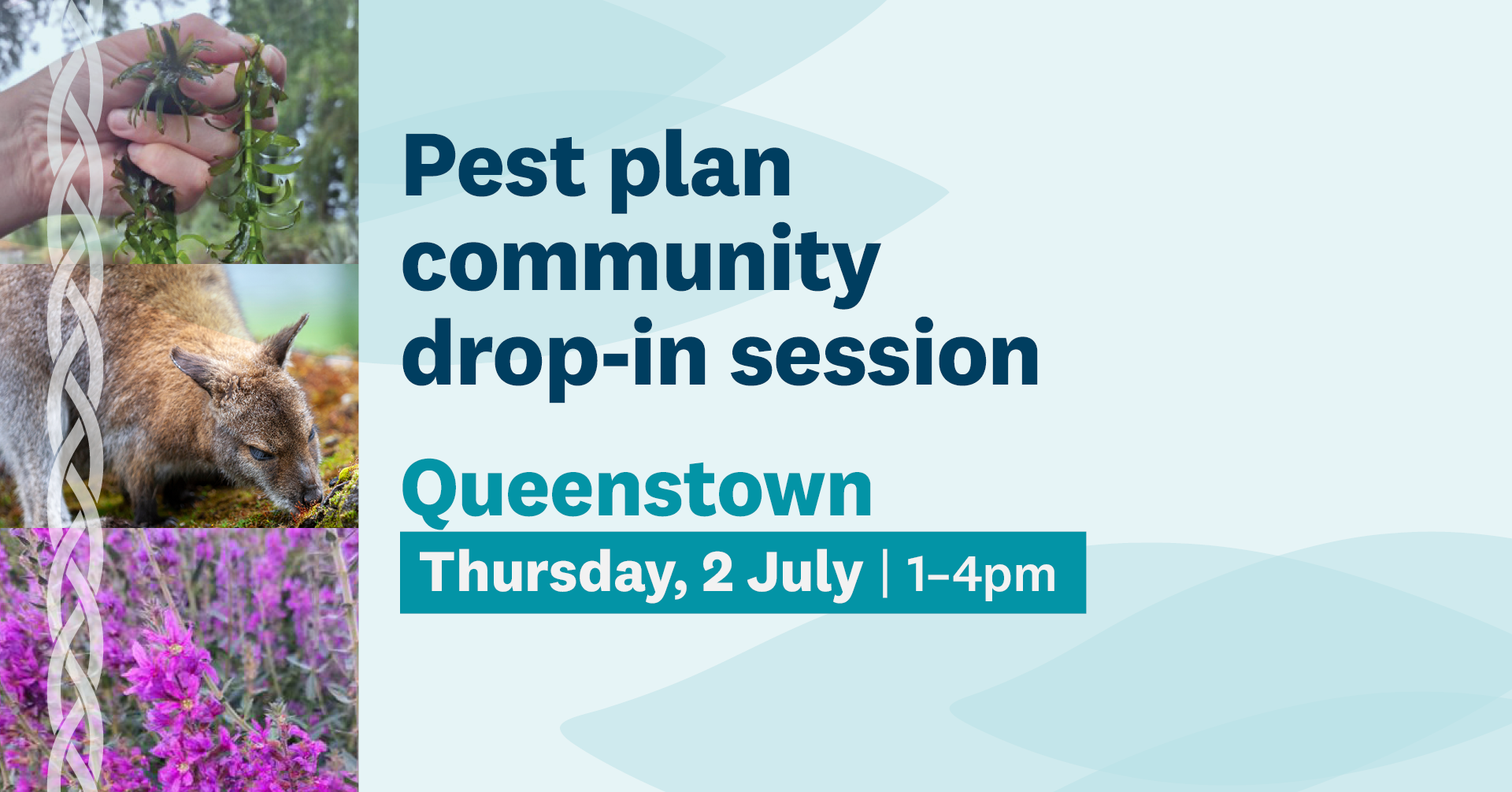 RPMP Queenstown Drop In Session Facebook Event Cover PROOF 260529 Tint