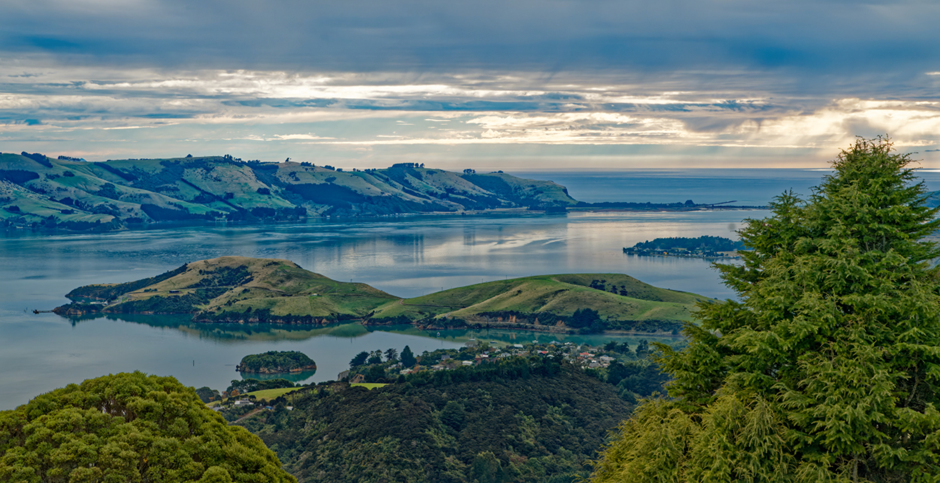 a view looking out over harbour taken from on a hill