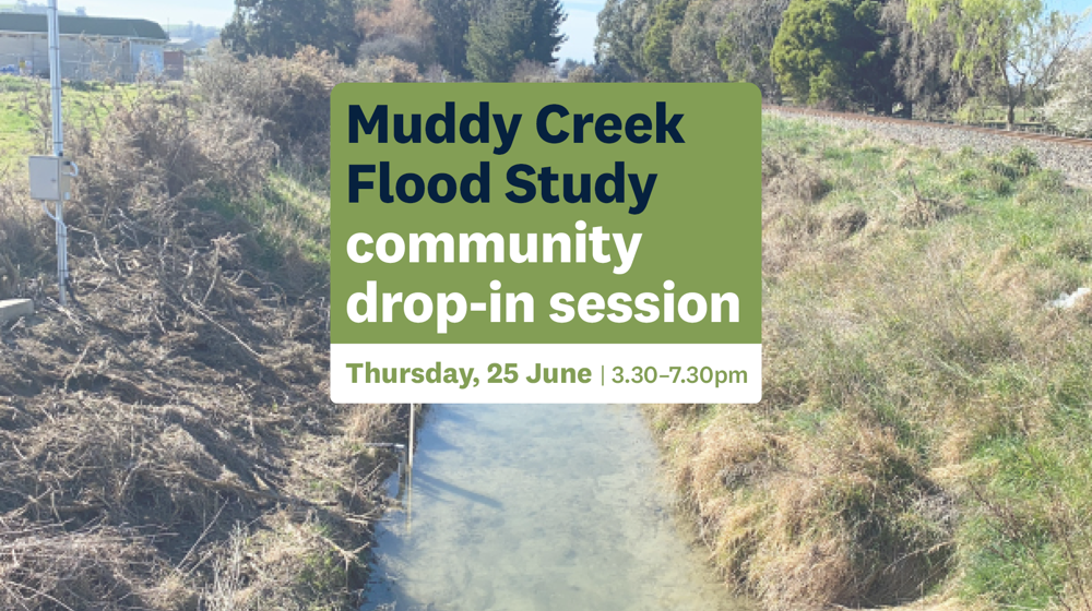 Muddy Creek flood study community drop-in sessions Thursday 25 June 3.30-7.30pm with image of muddy creek in background