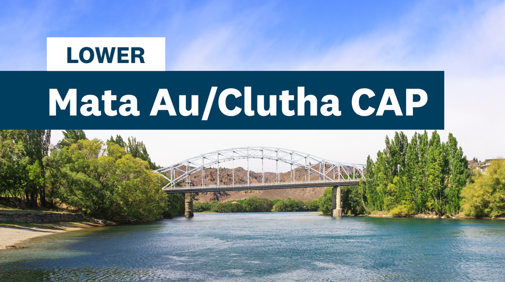 Lower Mata Au Clutha Tile 1920X1080 260424