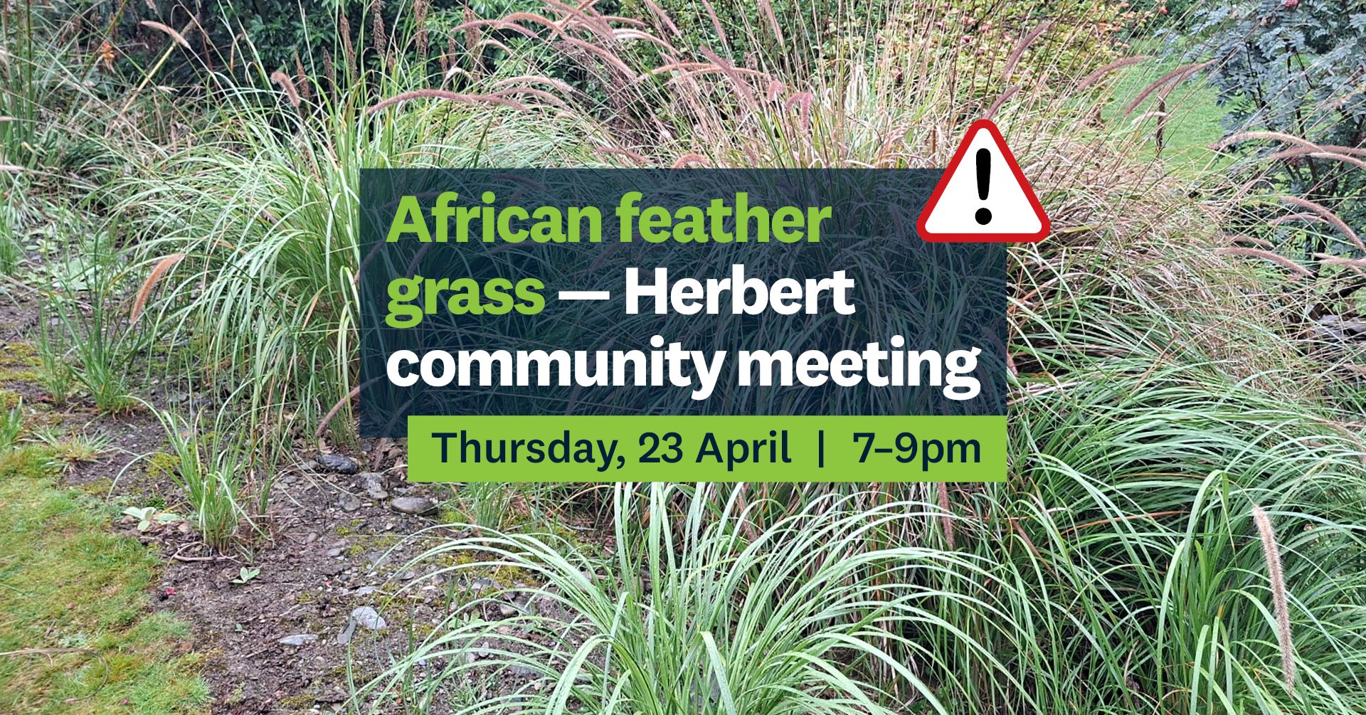 African Feather Grass – Herbert Community Meeting April 2026