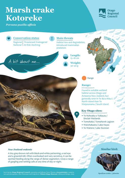 Birds of Otago