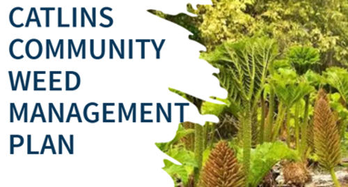 Catlins Community Weed Managment Plan