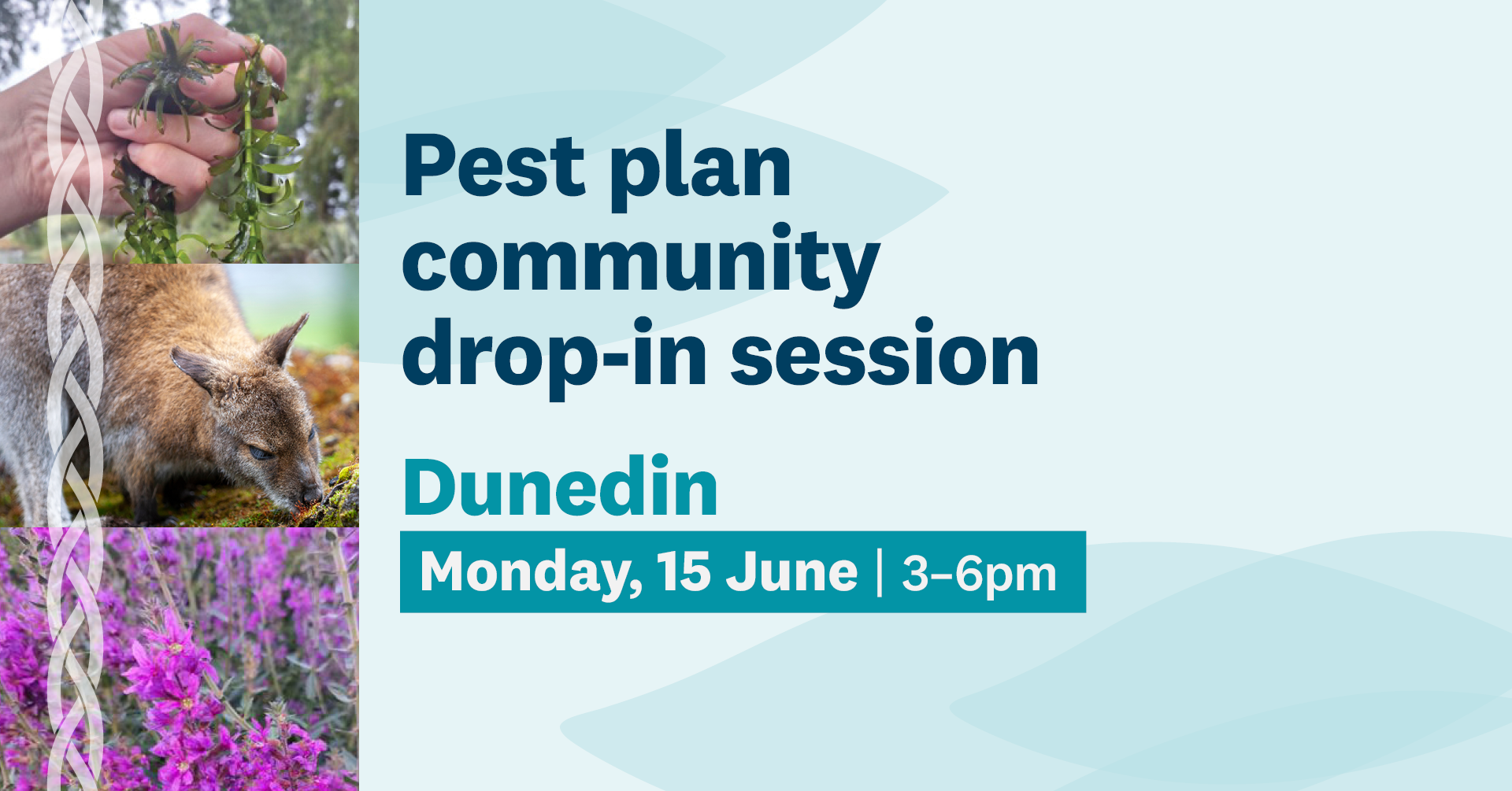 RPMP Dunedin Drop In Session Facebook Event Cover PROOF 260529 Tint