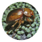 The Cromwell Chafer Beetle