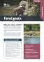 Cover Feral Goat Plant And Pest Fact Sheets A4 Mar 2026 Page 1