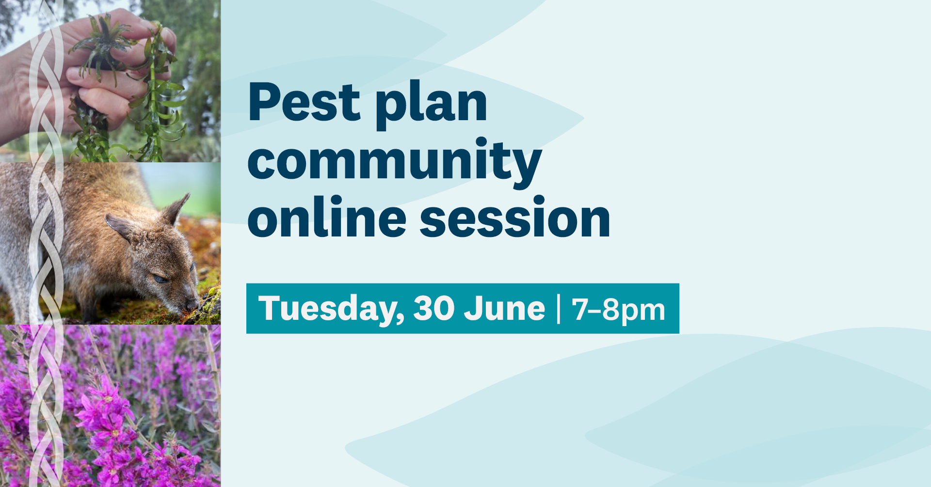 RPMP Online Session Facebook Event Cover PROOF 260602