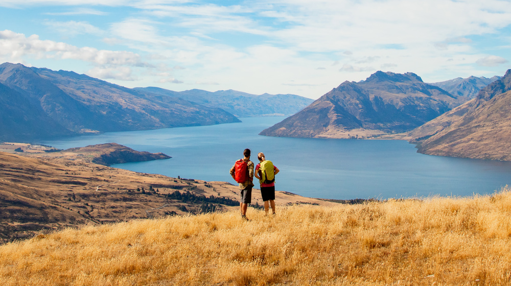 Panoramic Landscape View The Remarkables National Park Adobestock 495517528