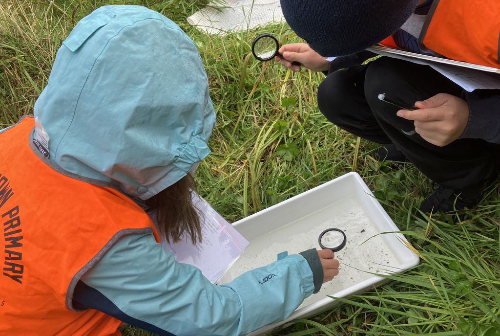 two children sitting in the grass using magnifying glasses to look at organisms in trays of water