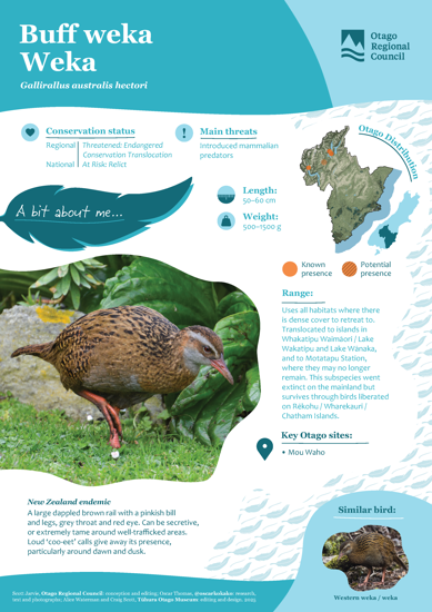 Buff Weka Weka Thumbnail