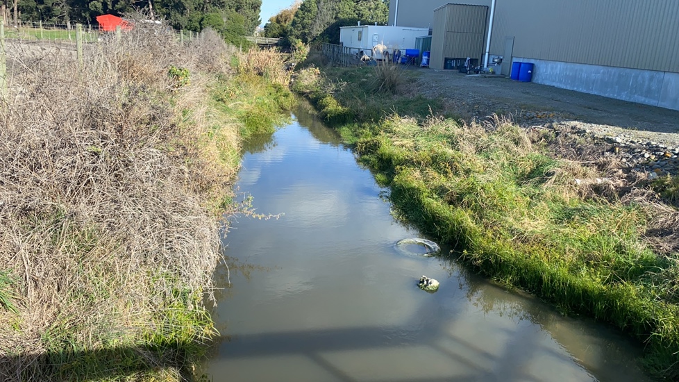 IS3  Downstream - Pre Spray 2025