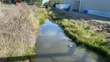 IS3  Downstream - Pre Spray 2025