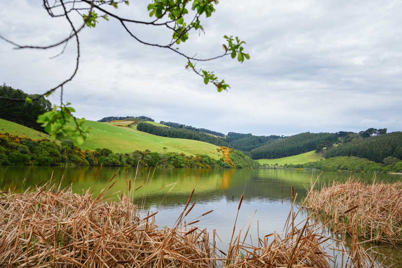 Wide Shot of Tomahawk Lagoon 