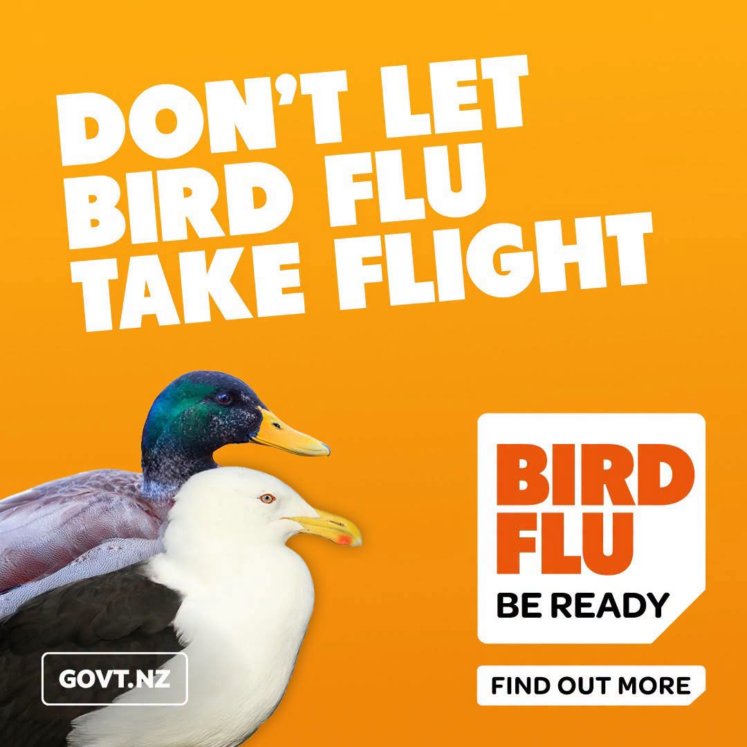 two birds sitting on an orange background and the words Don't let the bird flu take flight written above them
