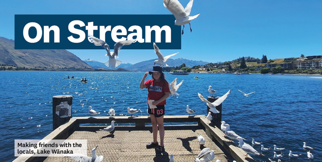 A child standing on a small jetty with seagulls flocking around and one landing on the child's hat. The words 'On Stream' are on the photo