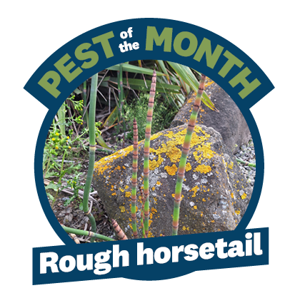 the logo for pest of the month with a picture of a green grassy looking plant and rocks in the middle