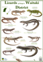 WD Lizards Poster PNG